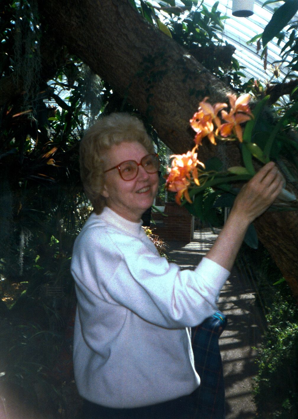 Marian Lucille McLaughlin Morris