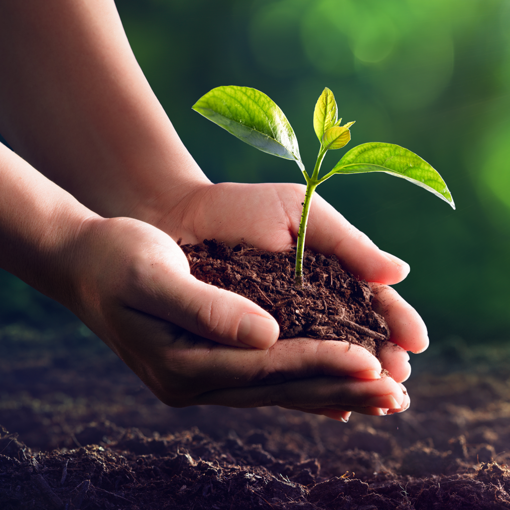 Christopher Darryl Villanova